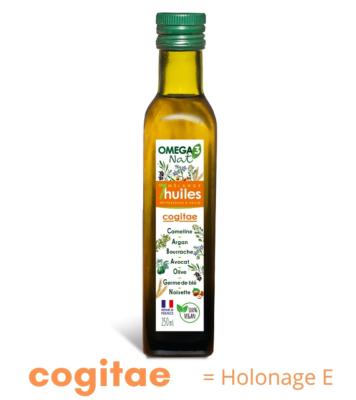 COGITAE (ex HOLONAGE E) - recette inchangée