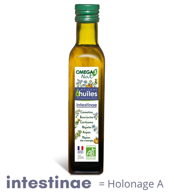 INTESTINAE (ex HOLONAGE A) - recette inchangée