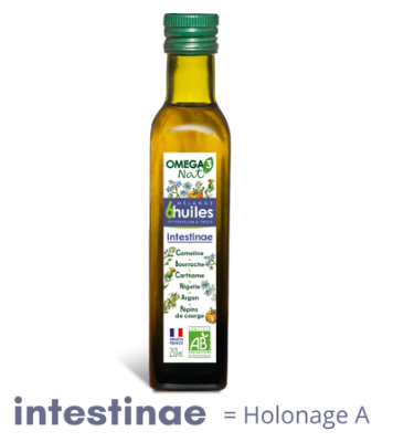 INTESTINAE (ex HOLONAGE A) - recette inchangée